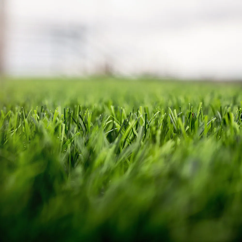 Gallery image 10 — patio pavers installation near me