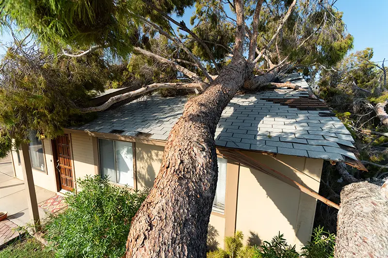 Gallery image 4 — licensed roofing company in Phoenix