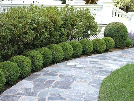 Gallery image 4 — best landscaping company in Texas