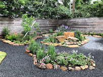 About arbor and trellis Houston