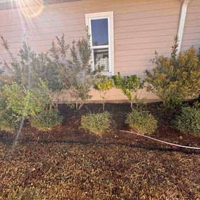 About landscaping service in Houston
