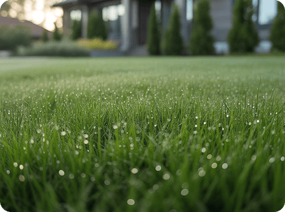 Gallery image 1 — landscaping service in Houston
