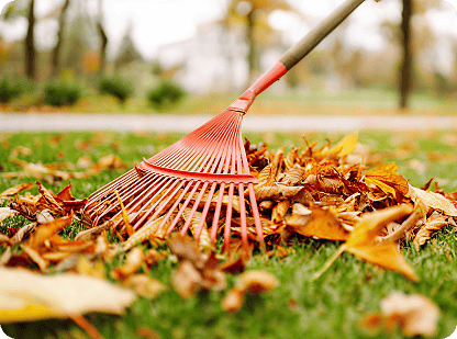 Gallery image 2 — landscaping service in Houston