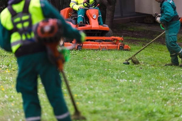 landscaping service in Houston