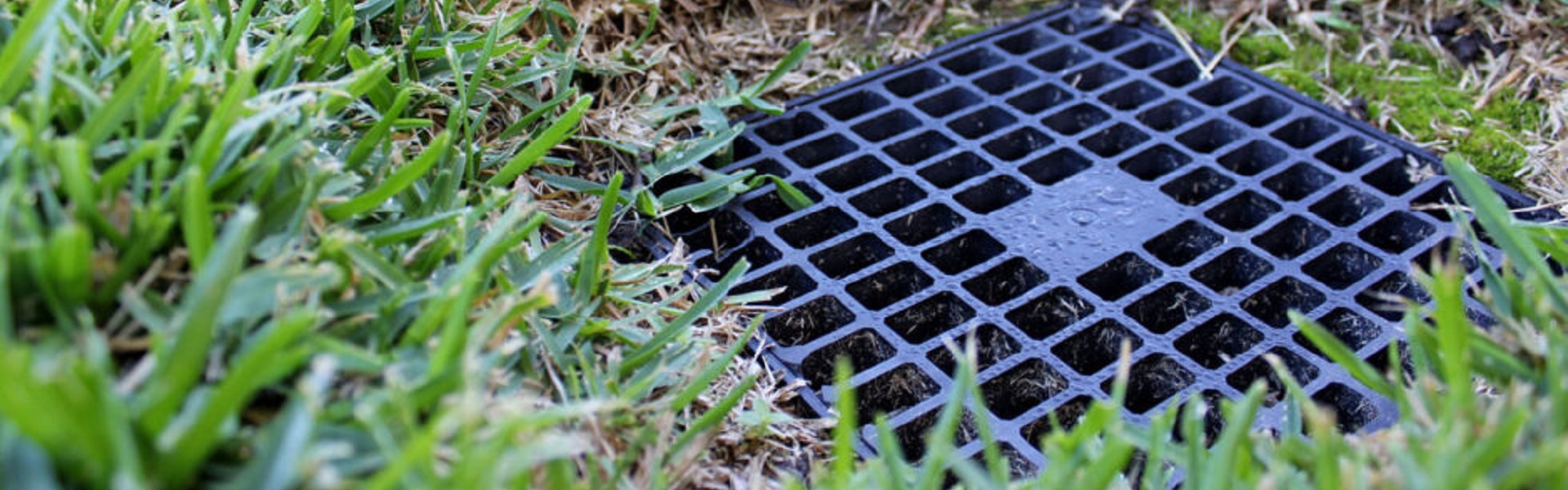 tree root barrier Houston