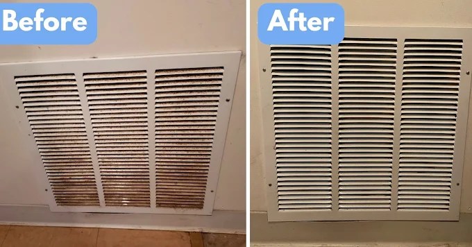 Gallery image 5 — apartment cleaning Lowry Park Central