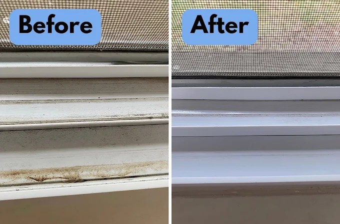 Gallery image 8 — apartment cleaning Lowry Park Central