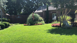 Gallery image 1 — landscape maintenance Houston Texas