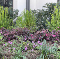 Gallery image 4 — landscape maintenance Houston Texas