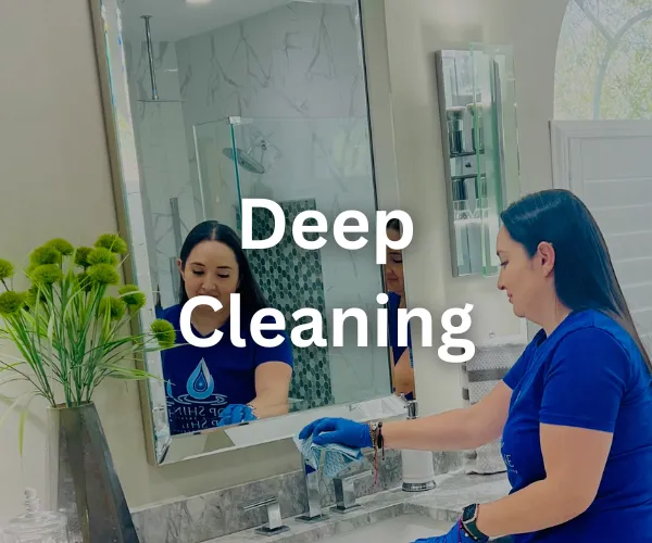 Gallery image 6 — best cleaning service Land O' Lakes