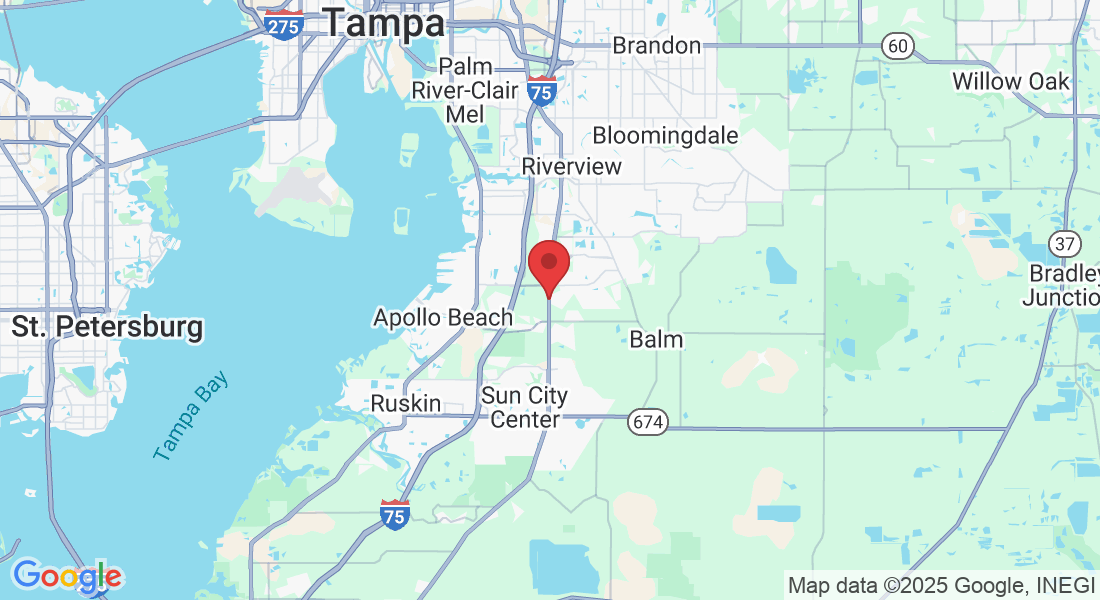 best cleaning company Tampa