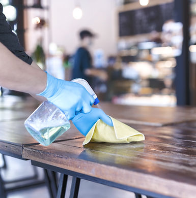 Gallery image 4 — non-toxic cleaning services San Antonio