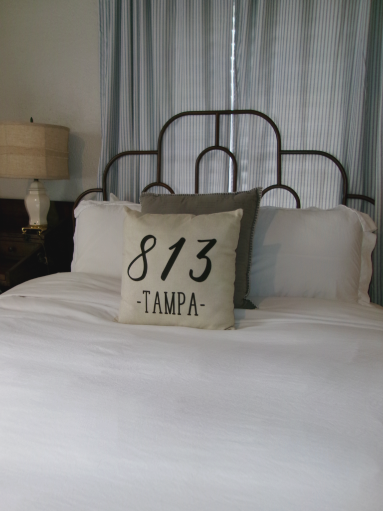 professional cleaners in Tampa