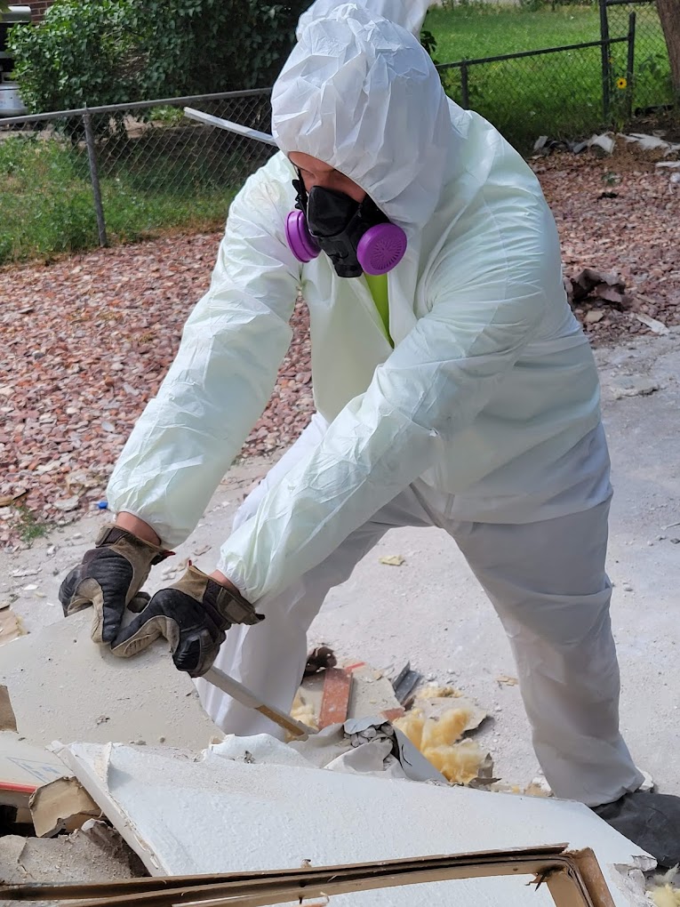mold removal company in Arvada