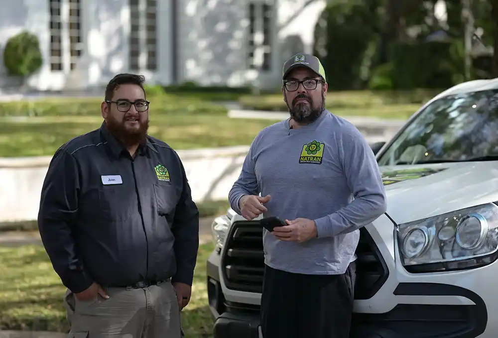 About rodent control in The Woodlands