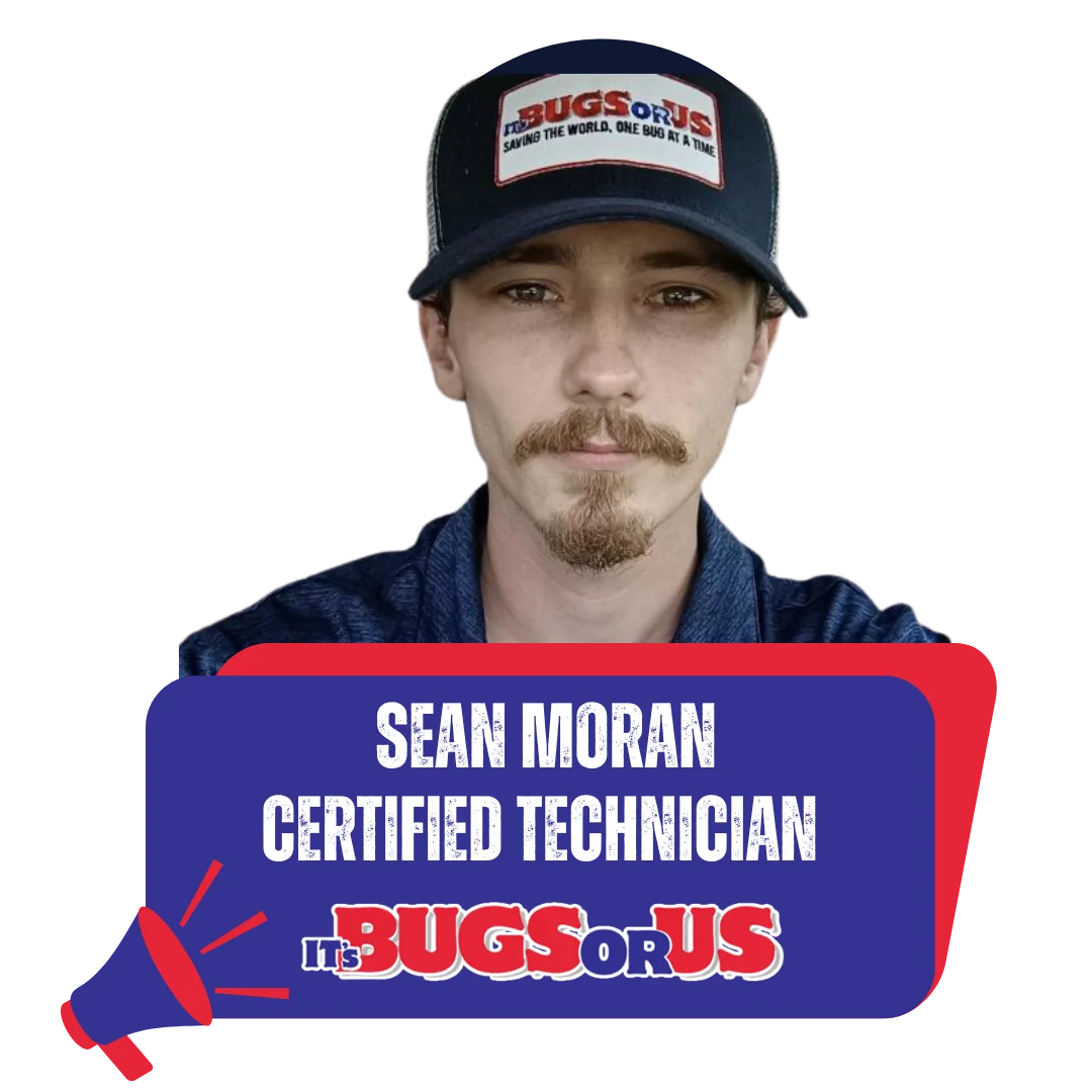 About spider control Houston