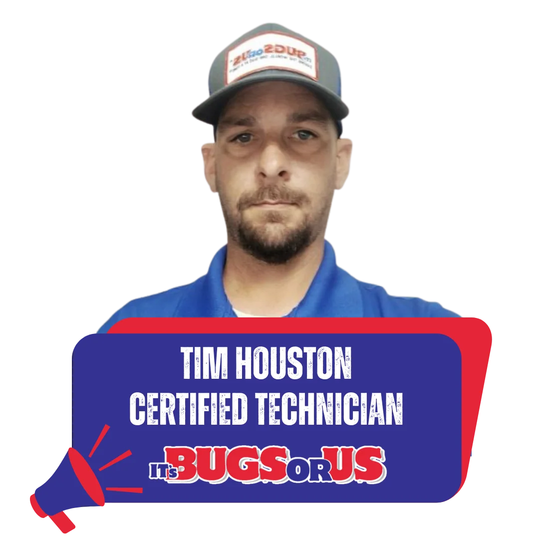 Gallery image 4 — spider control Houston