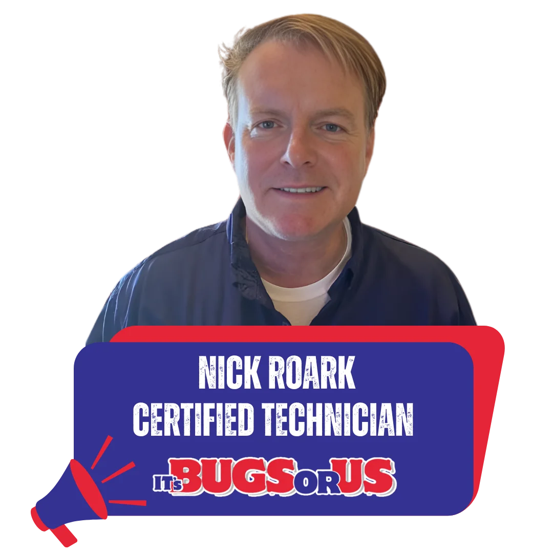 Gallery image 11 — spider control Houston