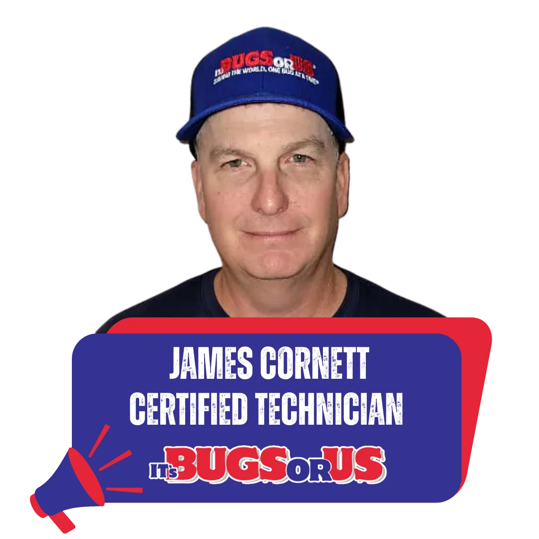 Gallery image 12 — spider control Houston