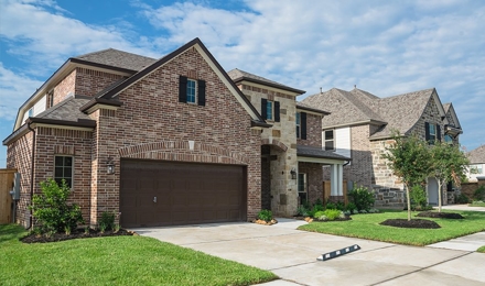 termite control near me