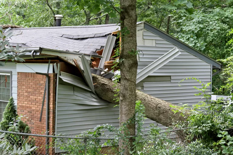 Gallery image 3 — sewage cleanup near me