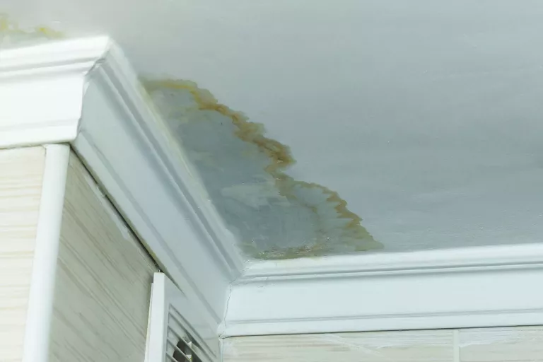 Gallery image 11 — sewage cleanup near me