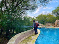 Gallery image 3 — spider control Houston