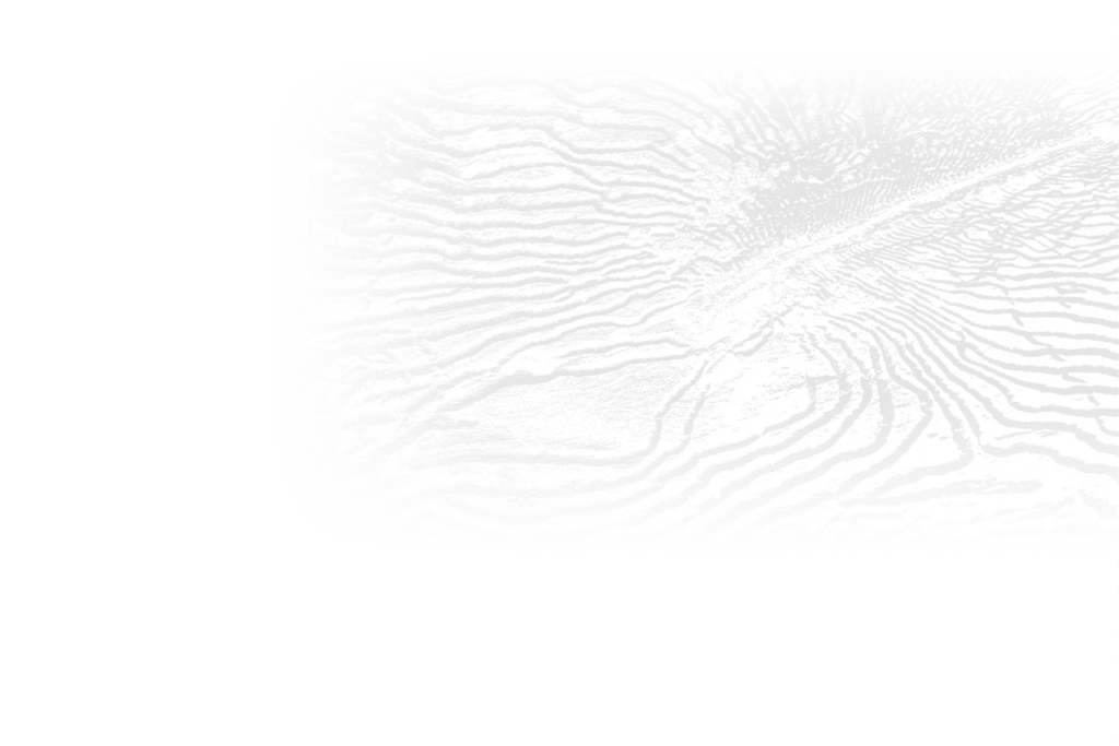 Gallery image 6 — mosquito control in Clearwater