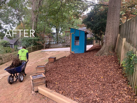 best lawn care in Grant Park