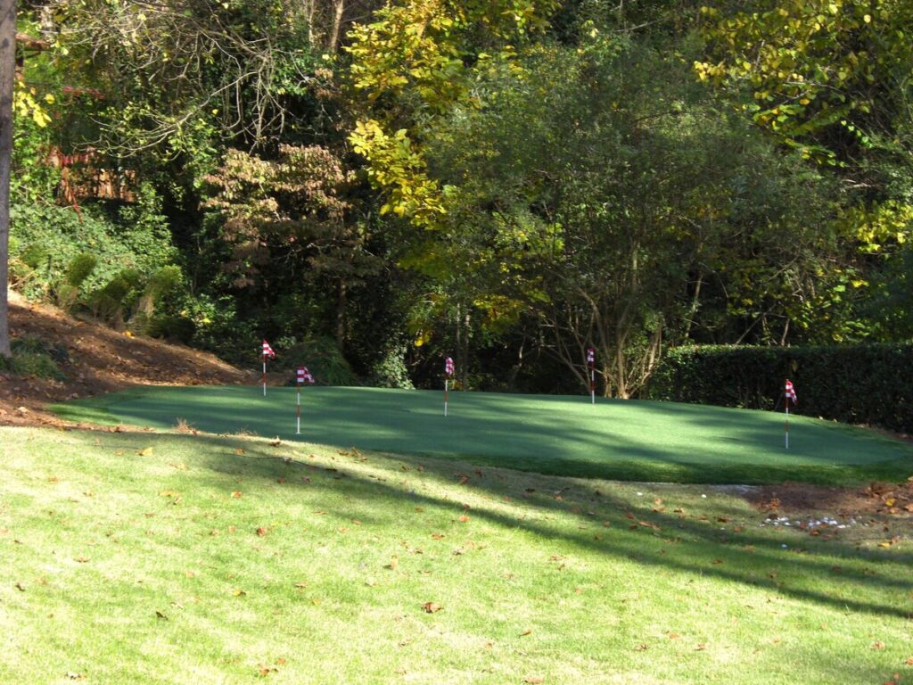 synthetic putting green Roswell