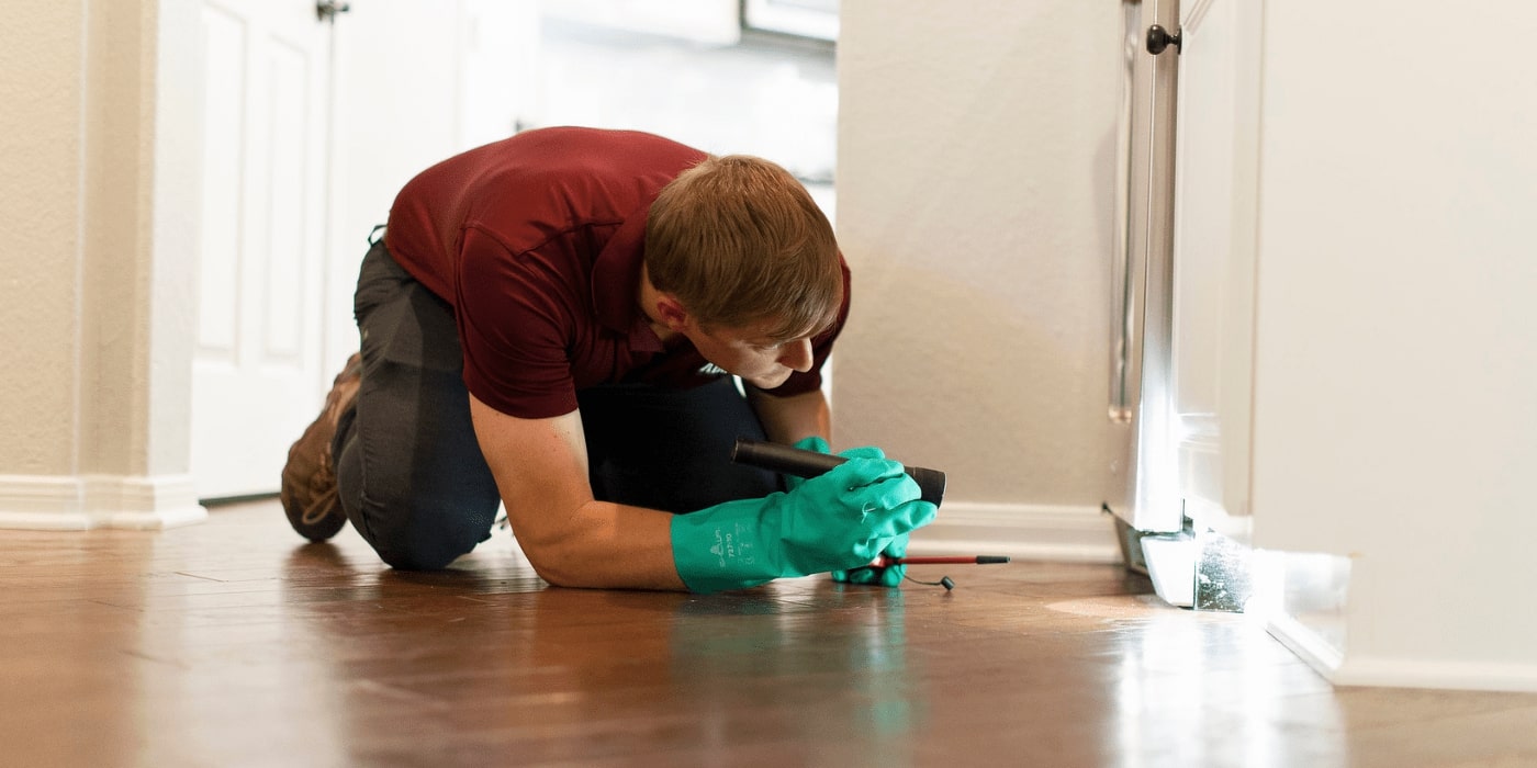 bed bug exterminator Houston
