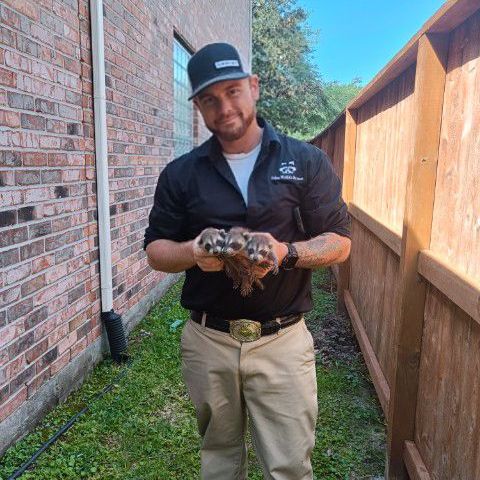 Gallery image 9 — local wildlife trapping experts Texas