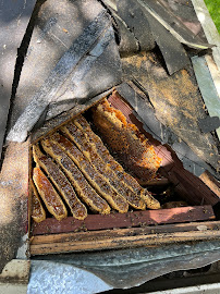 safe bee removal in Houston