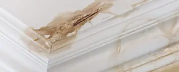 Gallery image 3 — best carpet cleaning in Katy