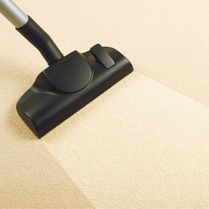 About pet stain and odor removal Dallas