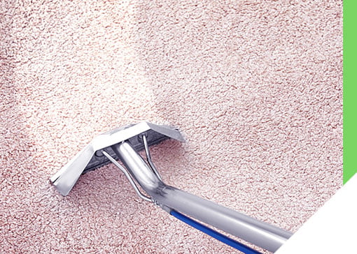 Gallery image 2 — pet stain and odor removal Dallas