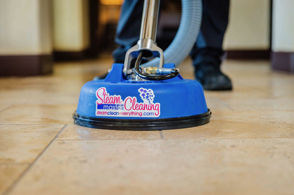 Gallery image 3 — pet stain and odor removal Dallas