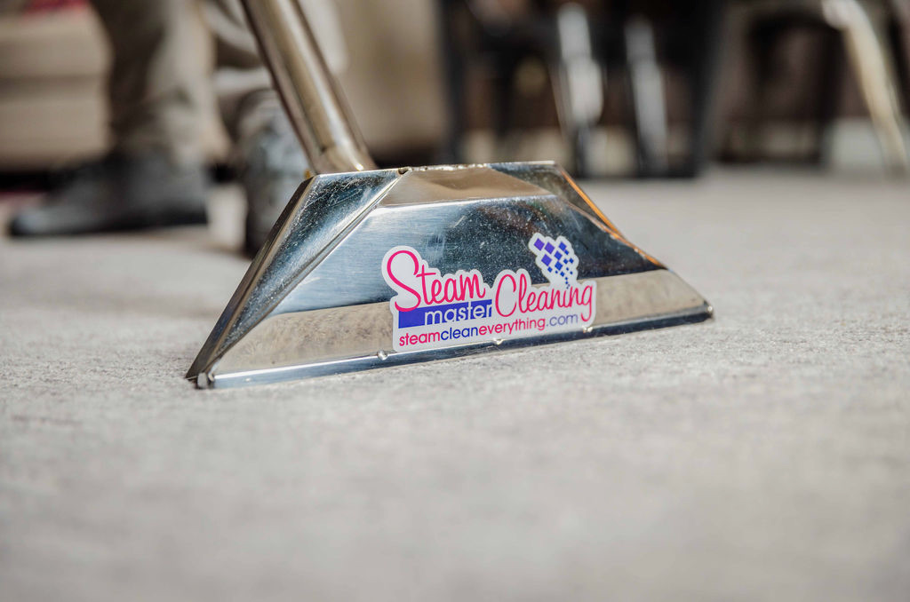 Gallery image 4 — pet stain and odor removal Dallas