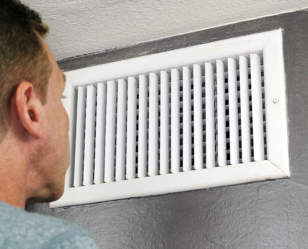 Gallery image 5 — pet stain and odor removal Dallas