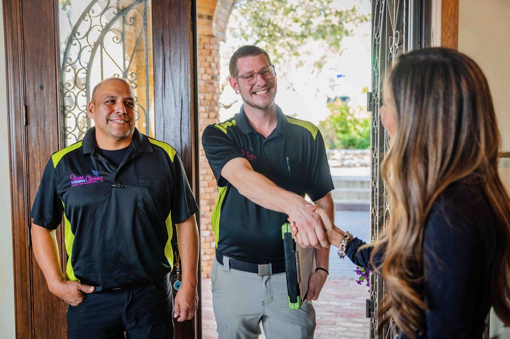 Gallery image 7 — pet stain and odor removal Dallas