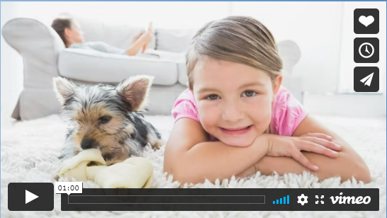 Gallery image 2 — oriental rug cleaning DFW