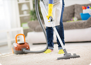 Gallery image 1 — carpet cleaning for allergies Dallas