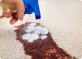 Gallery image 3 — carpet cleaning for allergies Dallas