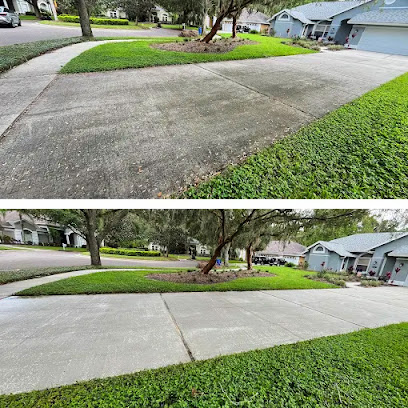 house washing South Tampa