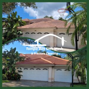 best pressure washing company in Clearwater