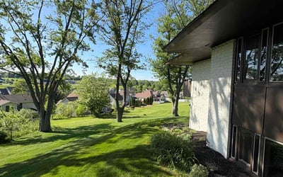 Gallery image 4 — yard cleanup San Diego