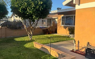 Gallery image 7 — yard cleanup San Diego