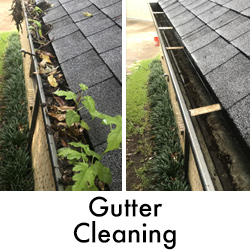 Gallery image 14 — soft house washing Arlington