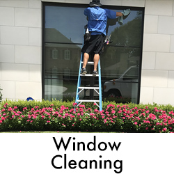 Gallery image 15 — soft house washing Arlington