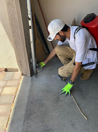 About spider extermination Las Vegas